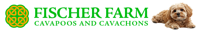 Fischer Farm Celtic Knot logo